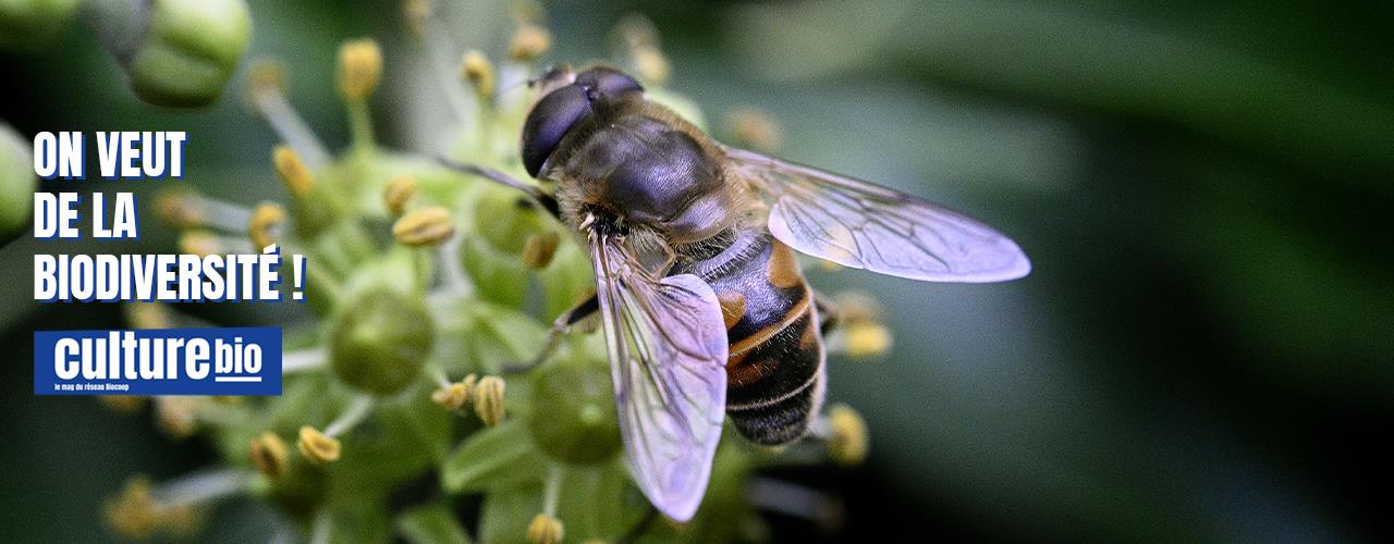 Culture bio n°128 - On veut de la biodoversité !